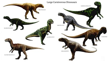 Carnivores dinosaur - Scientists are celebrating the 200th anniversary of the first formal naming of a dinosaur. ... was one of the largest carnivores of the middle Jurassic era, living about 168 million …
